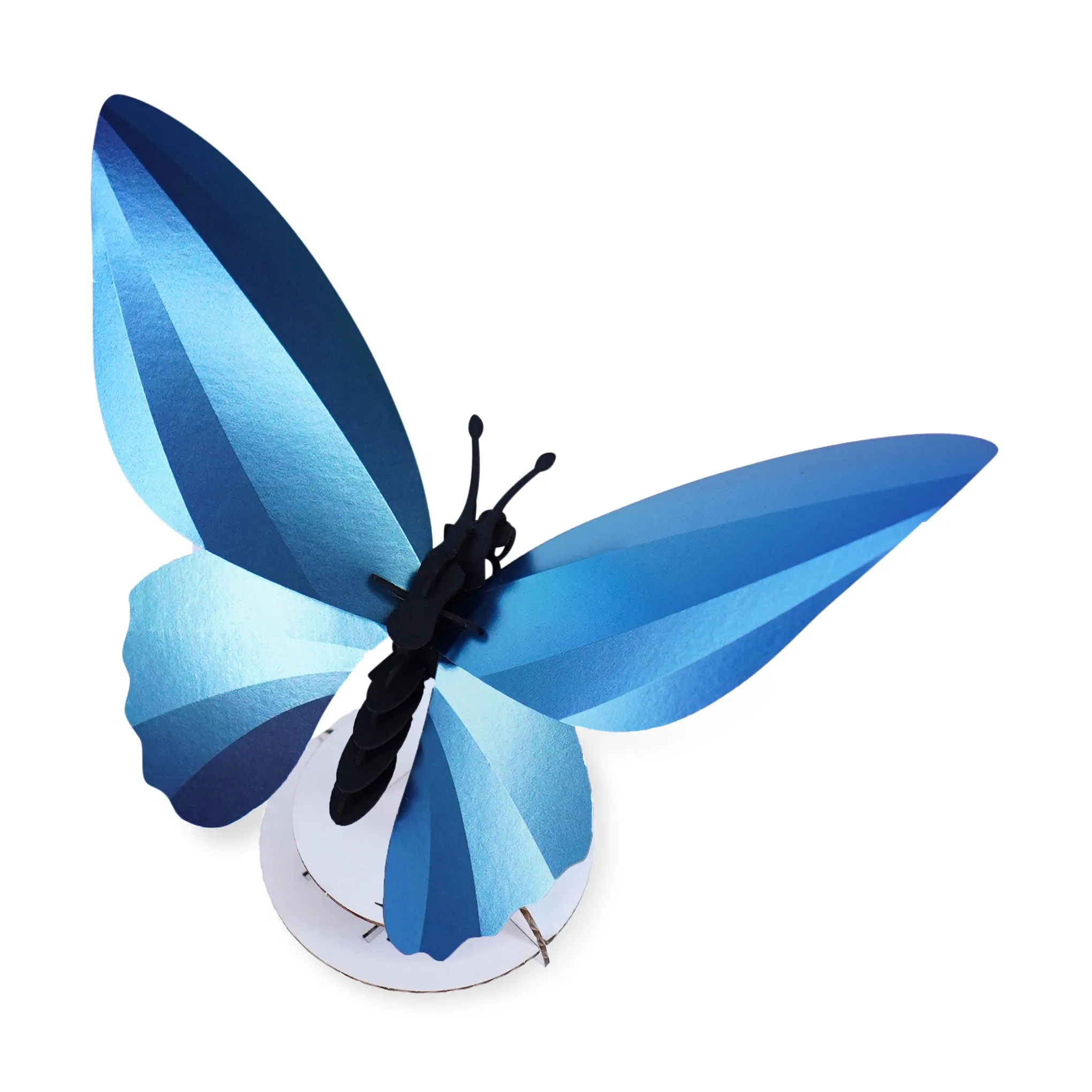 Assembli Shop DIY Reflective Paper Kit - Butterfly