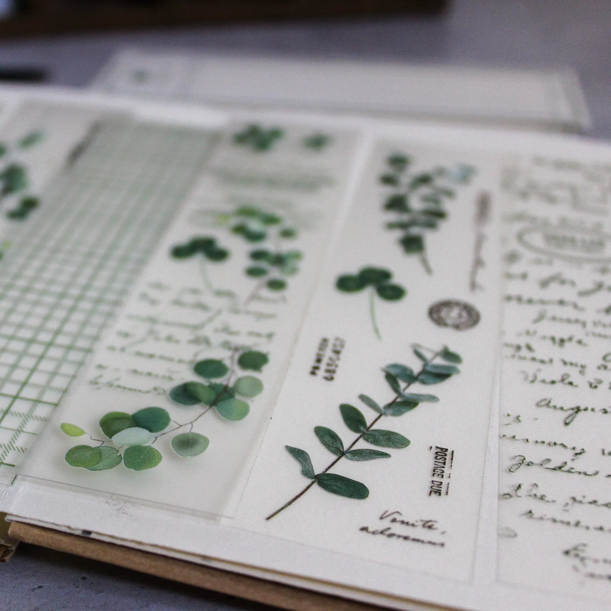 Botanical Papercraft Packs