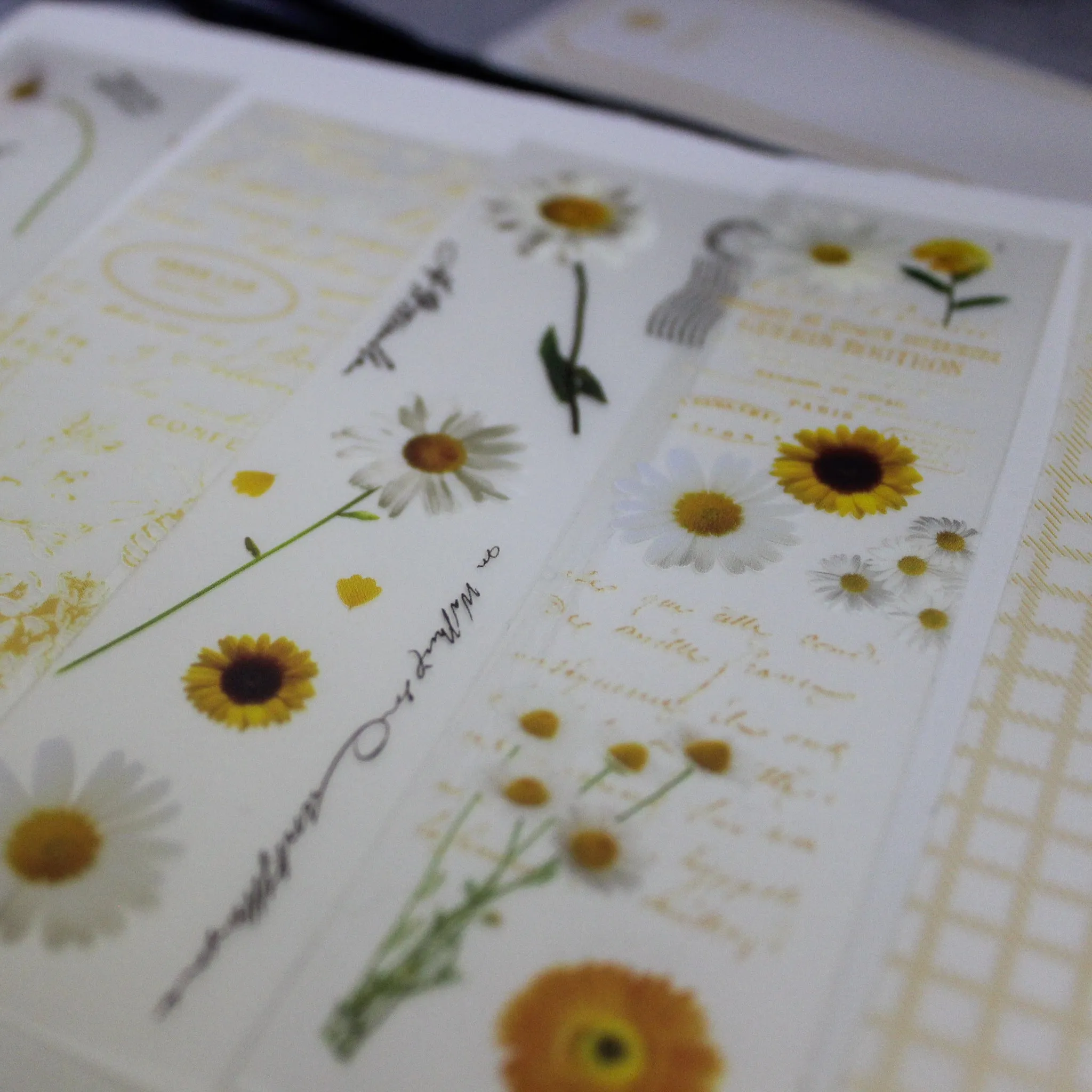 Botanical Papercraft Packs