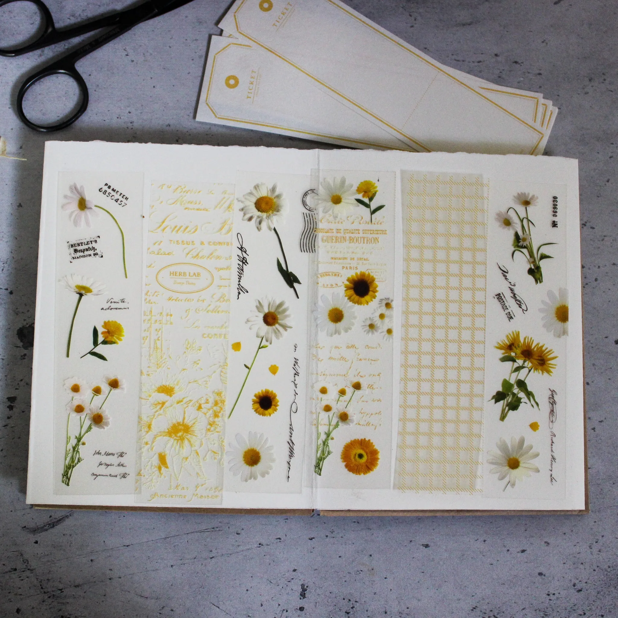 Botanical Papercraft Packs
