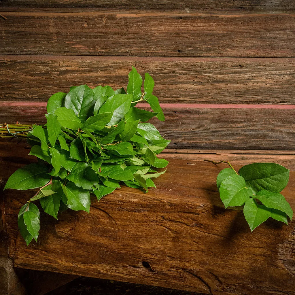 Box of Salal
