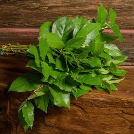 Box of Salal