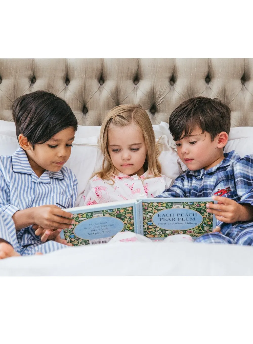 Each Peach Pear Plum Board Book