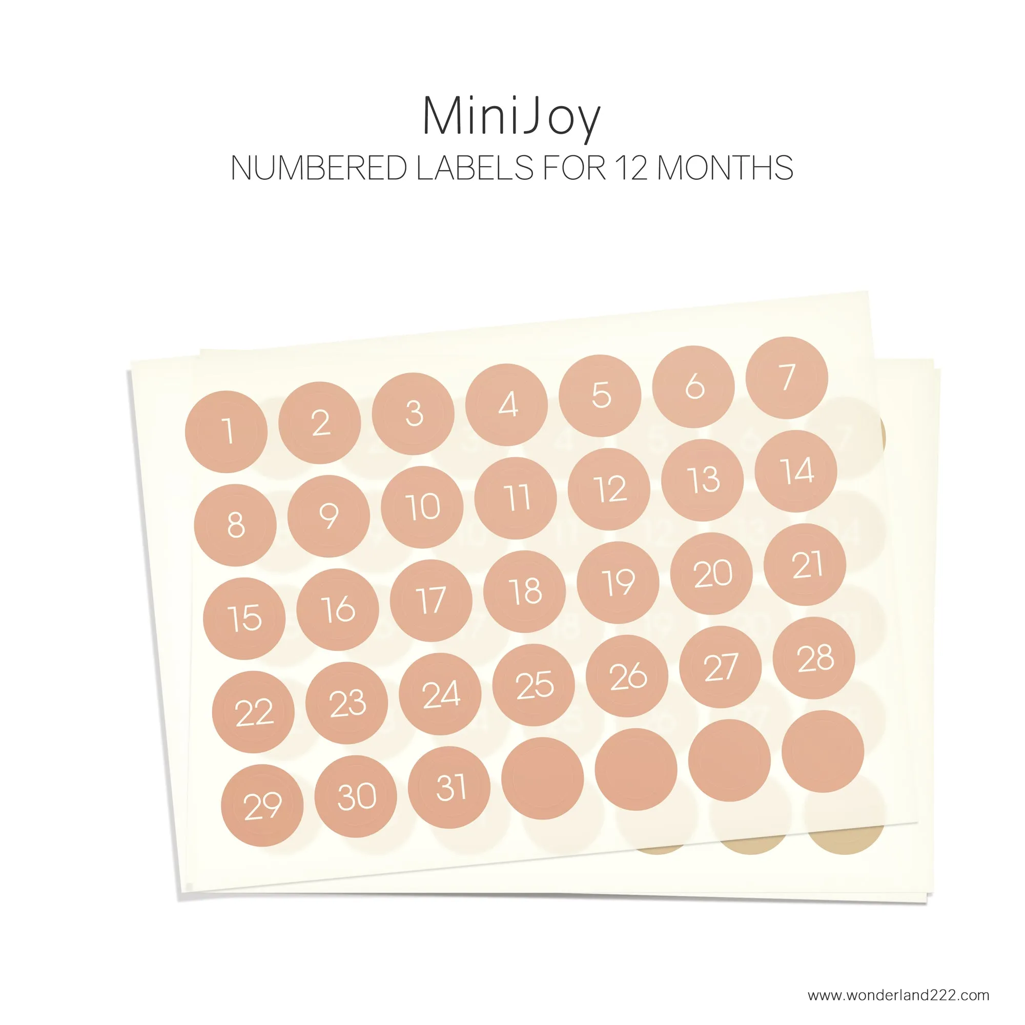 MiniJoy Calendar Washi (12 Transparent Sheets)