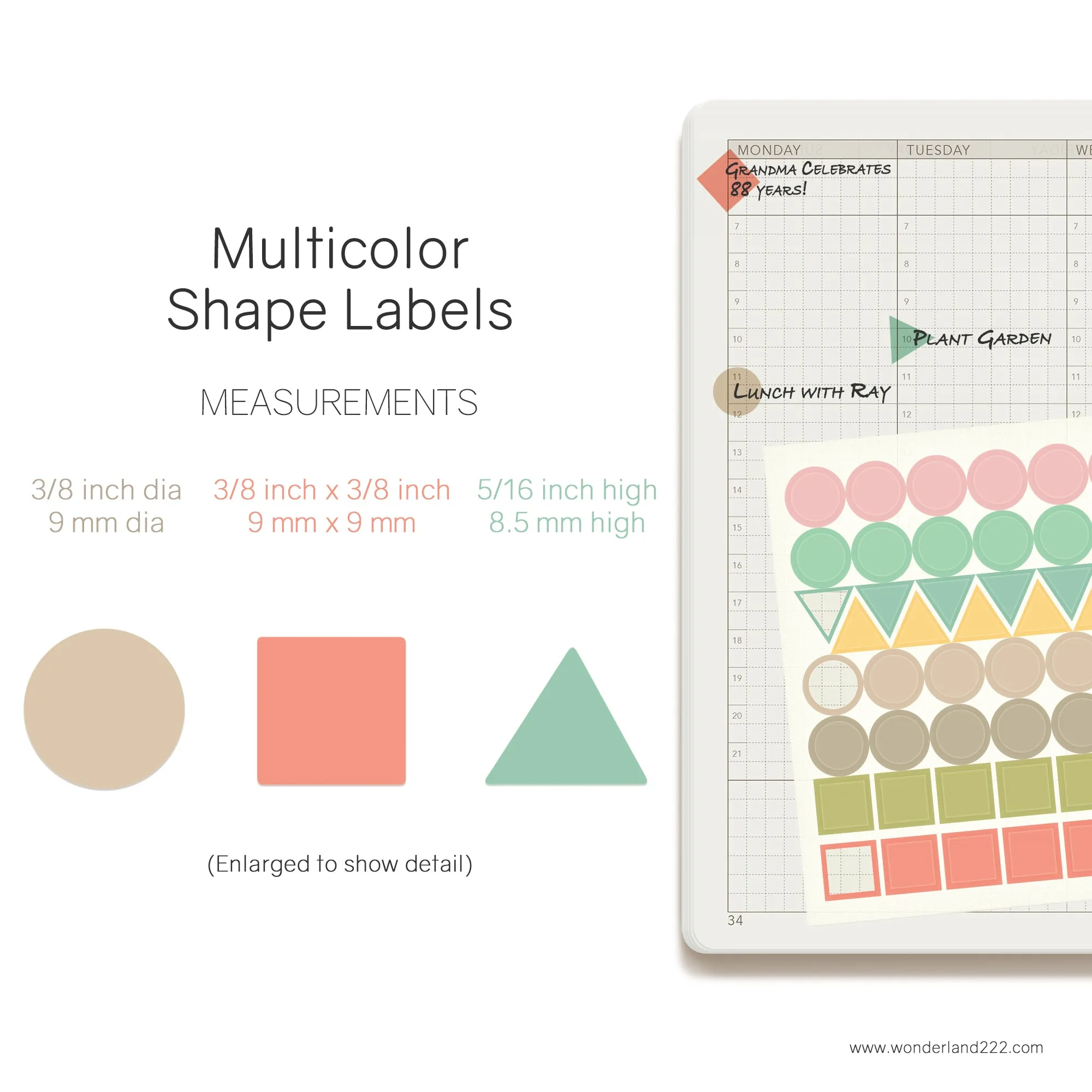 MiniJoy Calendar Washi (12 Transparent Sheets)
