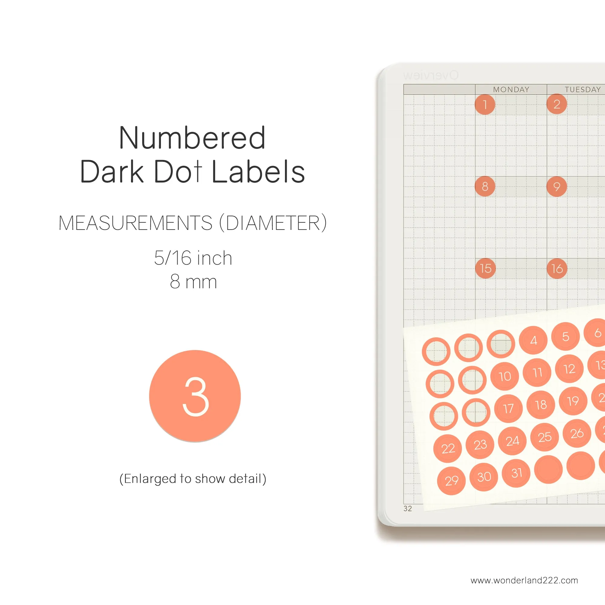 MiniJoy Calendar Washi (12 Transparent Sheets)