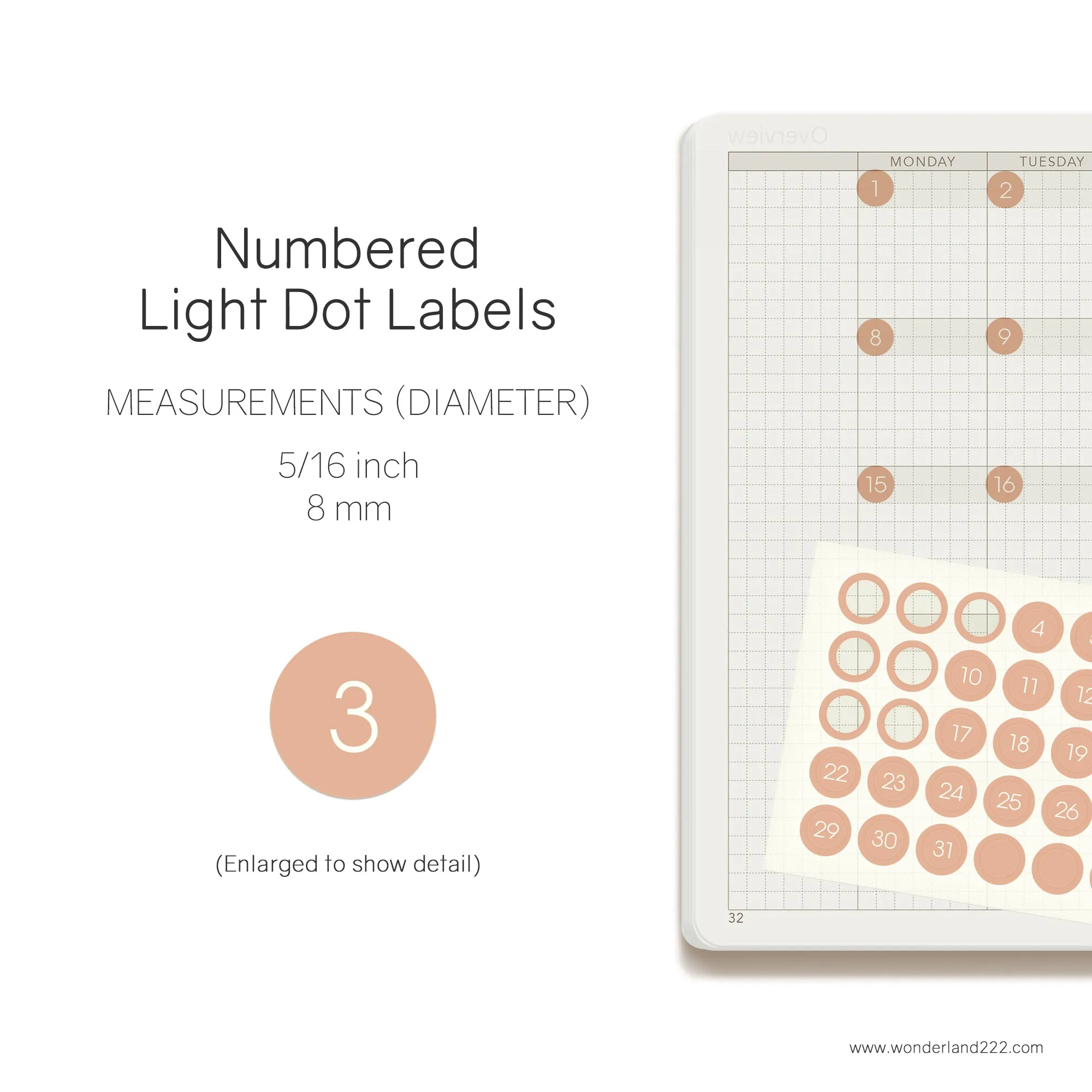 MiniJoy Calendar Washi (12 Transparent Sheets)