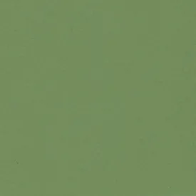 Mint Plastic Swatch
